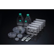 Chamber slide Cell Culture glass 4 wells 0.5-1.3ml/well,Collagen Type I Coated,Sterile