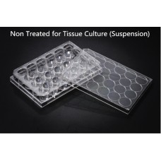 Multi well Culture Plate,Non treated,PS, 12 wells,85.40x127.60x20.20mm,Sterile