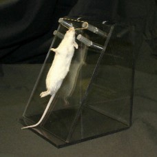 Biolite Stand For Rats