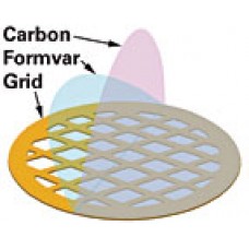 Grids Au 300 mesh coated with Formvar/Carbon
