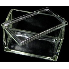 60-slides glass box with a lid(fits SS holder #BN10130660)