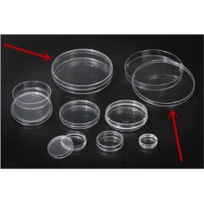 Tissue Culture treated Dish 150x20mm,surface 148 cm2,volume 35ml,10/bag,sterile