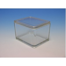 Staining Glass trough with cover ((autoclavable,microwavable) for holder #2481SMG)