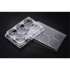 6-well Plates T.C. PS flat bottom with a lid sterile ind. Wrap