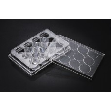 12-well Plates T.C. PS flat bottom with a lid sterile ind. Wrap