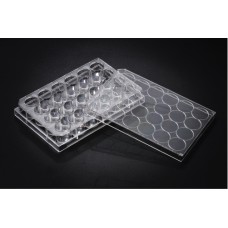 24-well Plates T.C. PS flat bottom with a lid sterile ind. Wrap,growth 1.90cm2,vol. 1ml