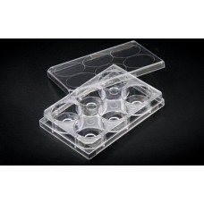Confocal 6-well plate 20mm glass  sterile,non treated/uncoated