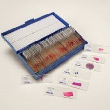 Basic Medical Histology Slide Set(50 slides)