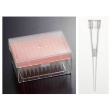 Filter Tip 0.1-10ul short 3.2cm (Thermo),PCR,sterile,on racks