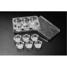 Cell Insert for 6-well plates;PS Dia. 24mm,PET White 3.0um,sterile