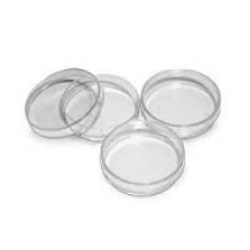 Petri dish plastic PS 55mm diameter,sterile,for bacteria