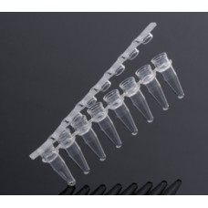 PCR microtubes 0.2ml (8-strips) thin wall,Flat cap,Natural