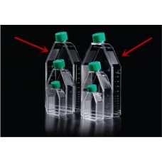 Tissue Culture treated Flasks 182cm2,600ml,plug cap,sterile,5/bag