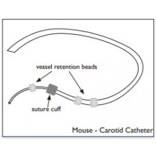 mouse carotid artery catheter