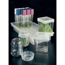 Magenta  vessel for plant culture GA-7 Plant Culture Box 3x3x4 inch without lid