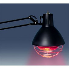 HEAT LAMP 220V