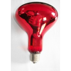 Replacement bulb 220V for BNHL-1 Heat lamp