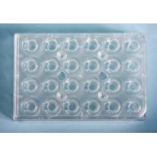 Confocal 24-well plate glass bottom,10mm glass thickness #1.5(0.16mm-0.19mm),sterile